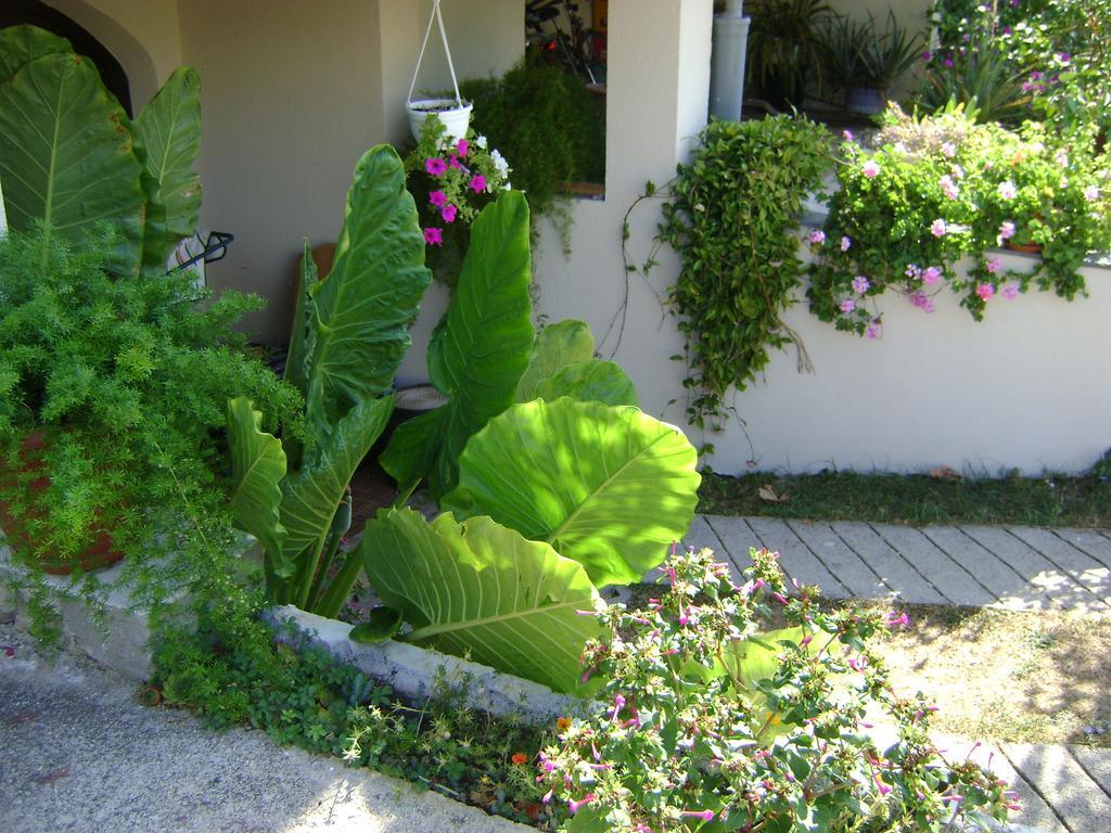 Apartments Radulovic Biograd Na Moru Exterior photo